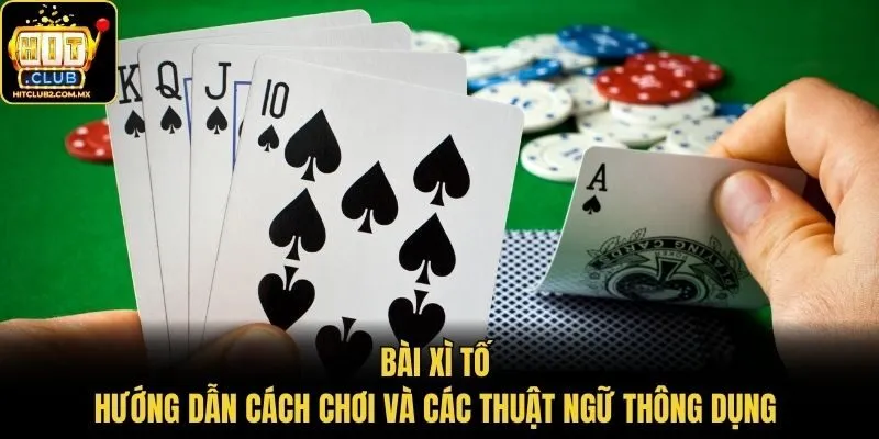 Bài Xì Tố - Hướng Dẫn Cách Chơi Và Các Thuật Ngữ Thông Dụng