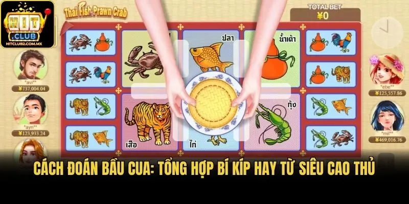 Cách Đoán Bầu Cua: Tổng Hợp Bí Kíp Hay Từ Siêu Cao Thủ