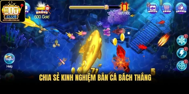  Chia sẻ kinh nghiệm bắn cá bách thắng